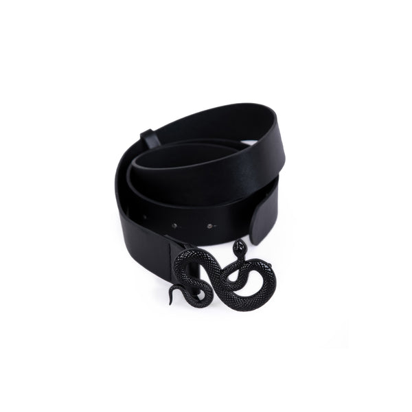 Shadowed Belt